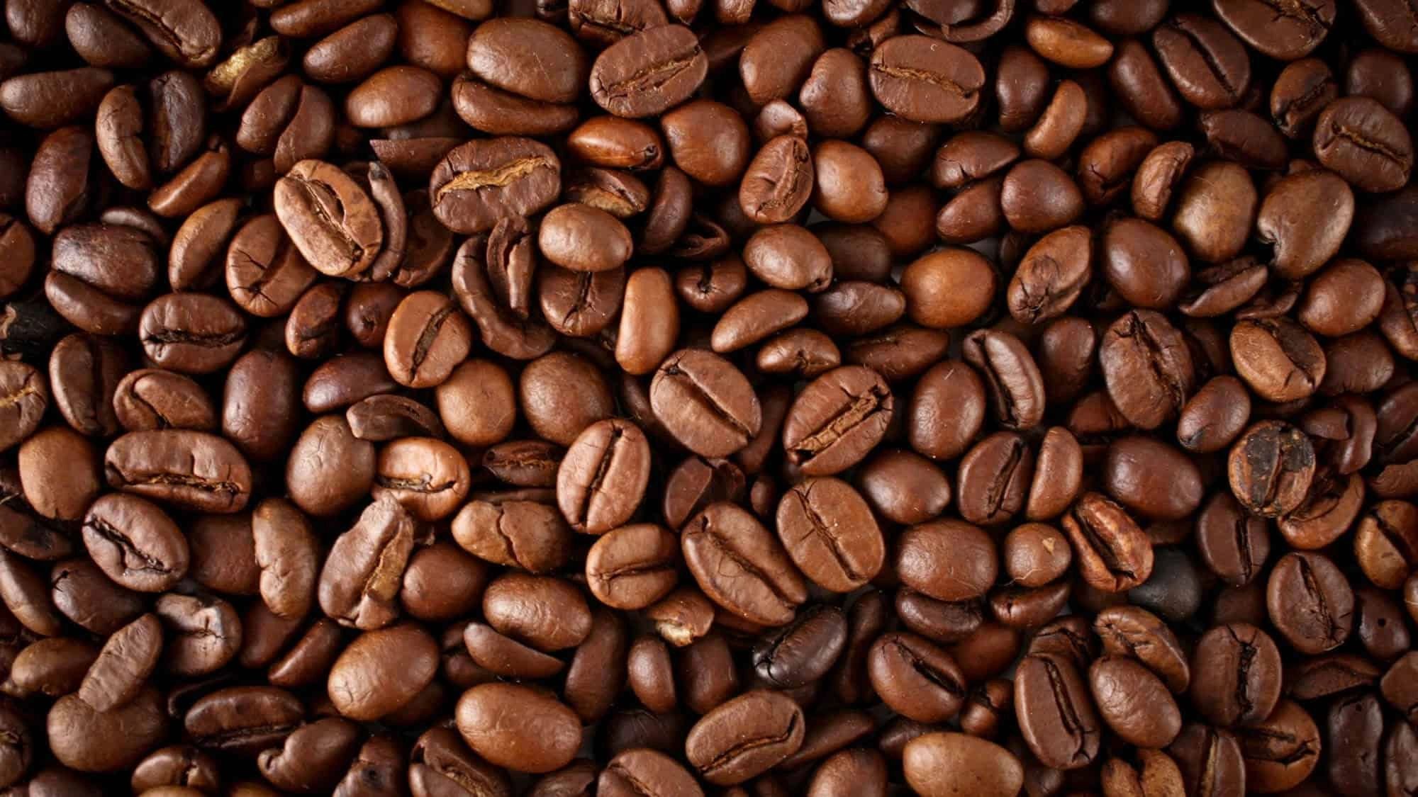 Cacao Products Cacao Products
